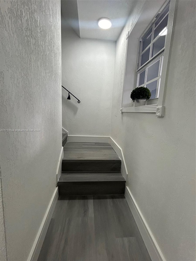 staircase featuring hardwood / wood-style flooring