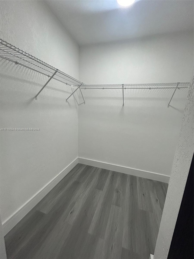 spacious closet featuring dark wood-type flooring