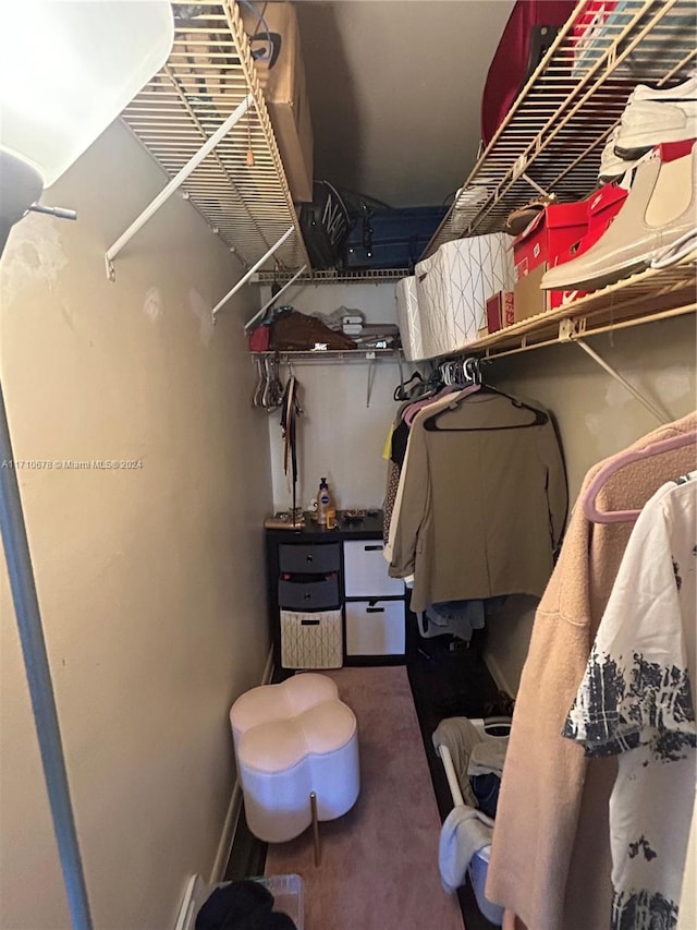 view of spacious closet