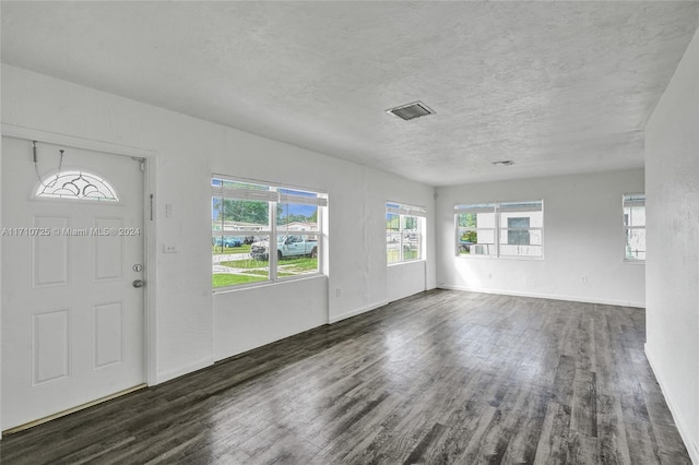 foyer featuring dark hardwood / wood-style flooring, a healthy amount of sunlight, and a textured ceiling