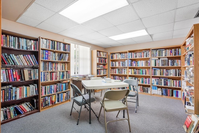 interior space featuring carpet flooring and a paneled ceiling