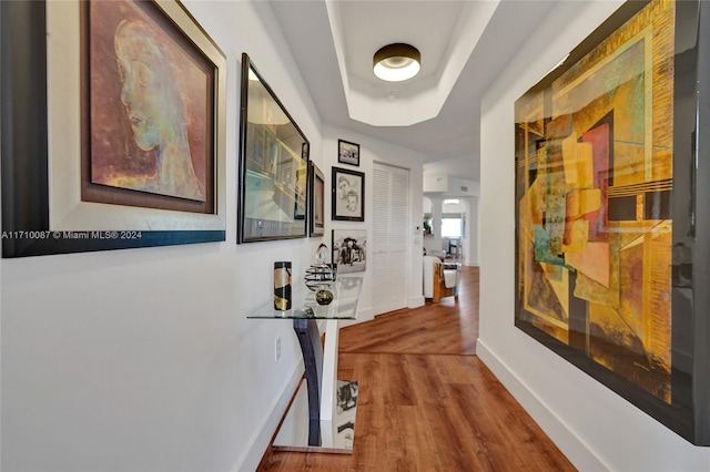 hallway with hardwood / wood-style floors and a tray ceiling