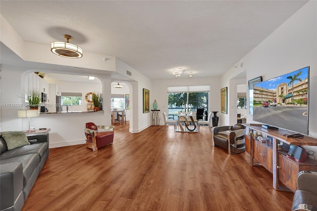 living room featuring a healthy amount of sunlight and wood-type flooring