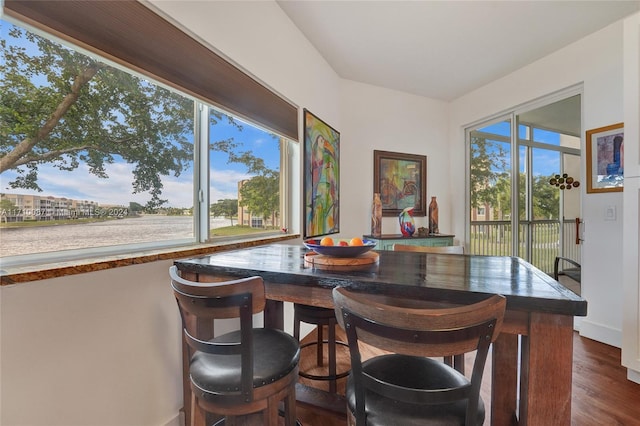 dining area featuring dark wood-type flooring