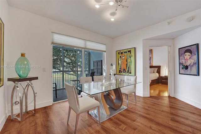 dining room featuring wood-type flooring