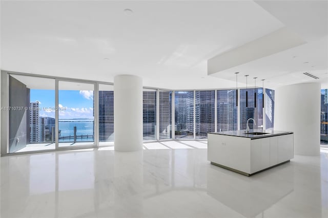 unfurnished living room with a wall of windows and sink