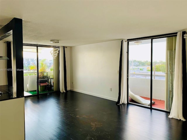 spare room featuring expansive windows and dark wood-type flooring