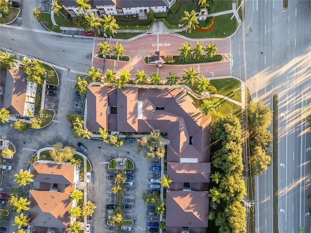 aerial view