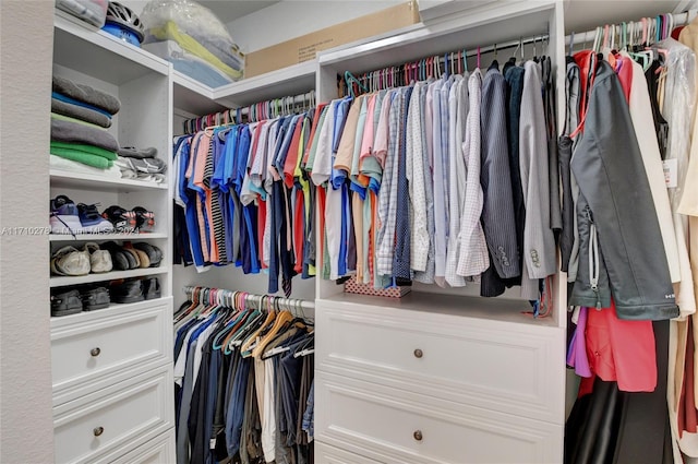 view of walk in closet