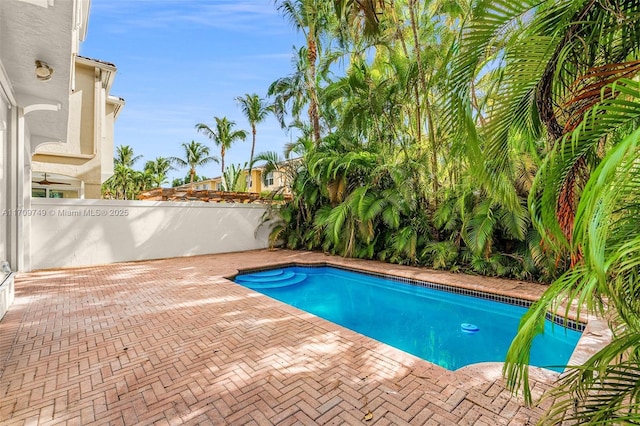 view of pool with a patio