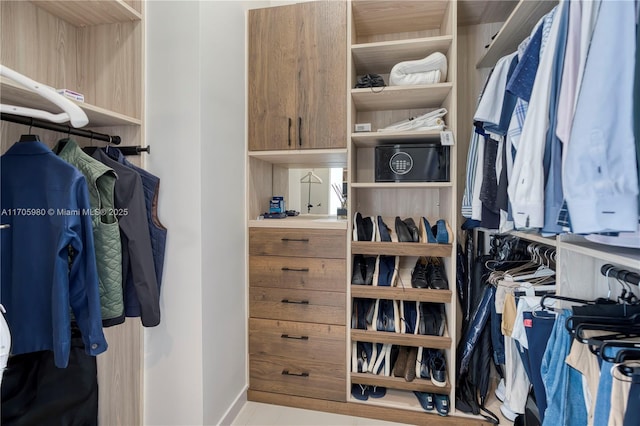 view of spacious closet