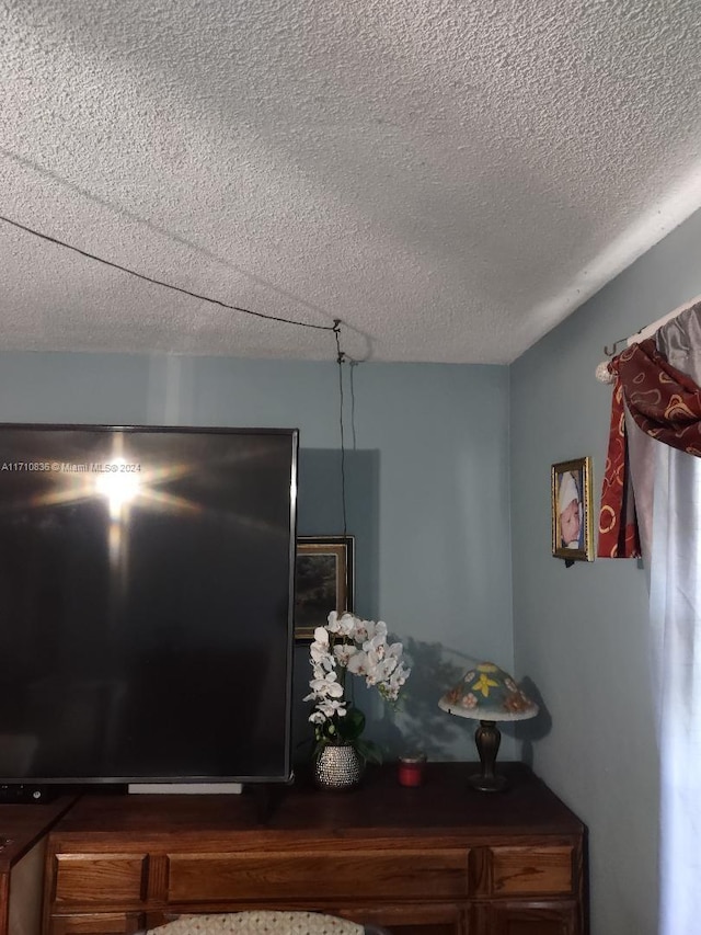 room details with a textured ceiling