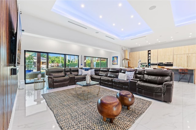 living room with a towering ceiling and a raised ceiling