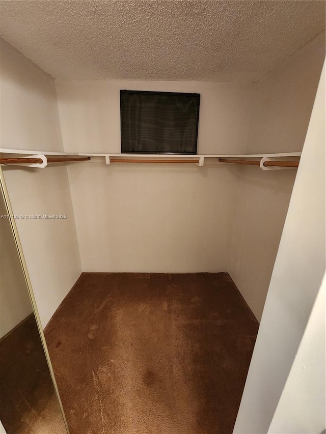 spacious closet with dark carpet