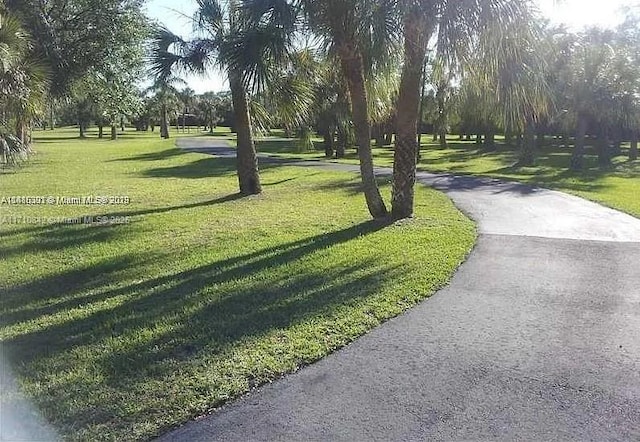 view of community with a lawn