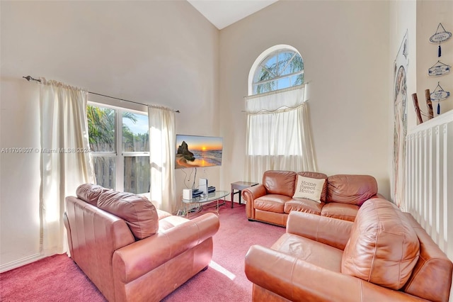 carpeted living room with high vaulted ceiling and a healthy amount of sunlight