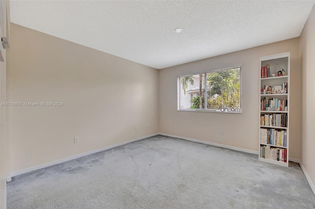 unfurnished room with a textured ceiling and light colored carpet