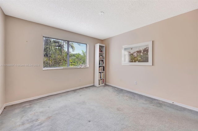 spare room featuring carpet and a textured ceiling