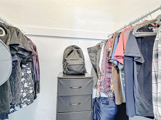 view of spacious closet