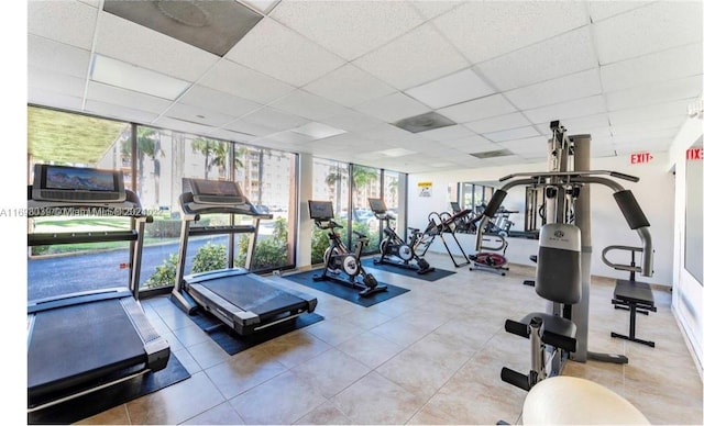 workout area with floor to ceiling windows, a drop ceiling, and plenty of natural light