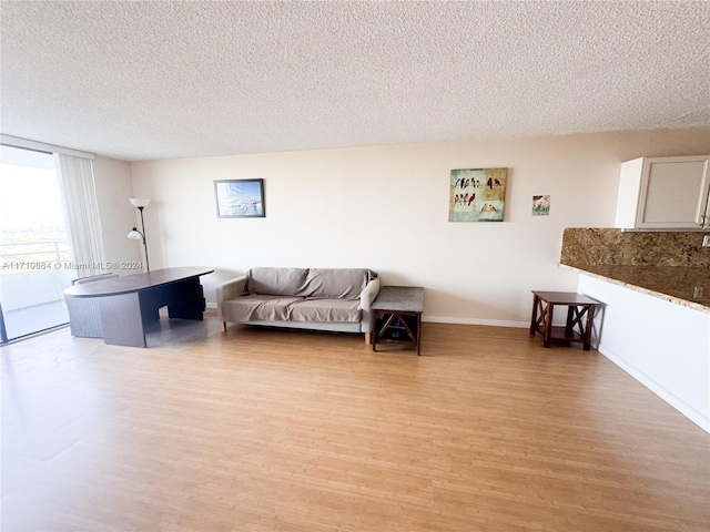 living room featuring light hardwood / wood-style floors and a textured ceiling