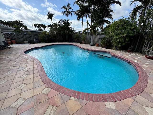 view of swimming pool with a patio area