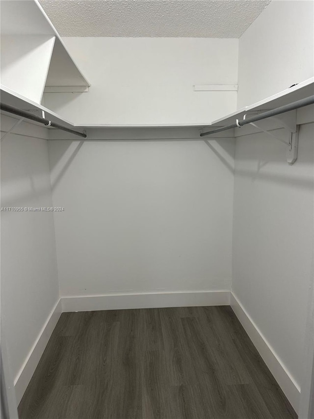 spacious closet featuring dark wood-type flooring