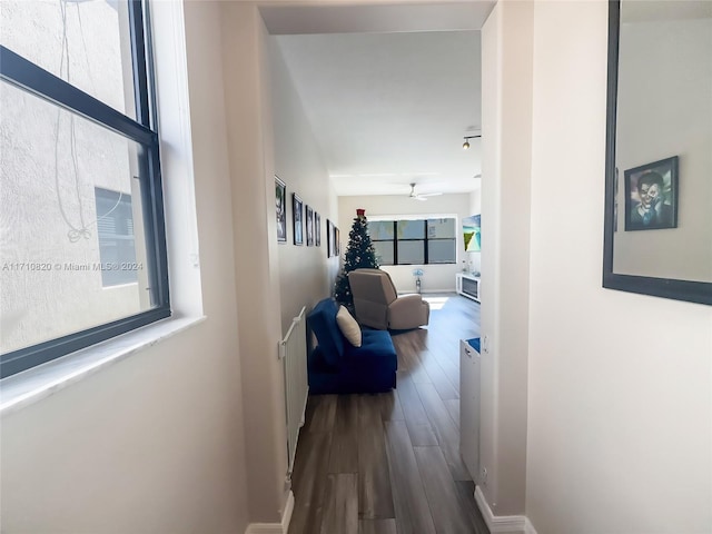 hallway with wood-type flooring