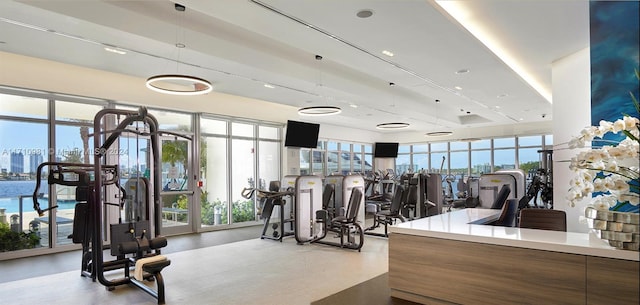 exercise room with a healthy amount of sunlight