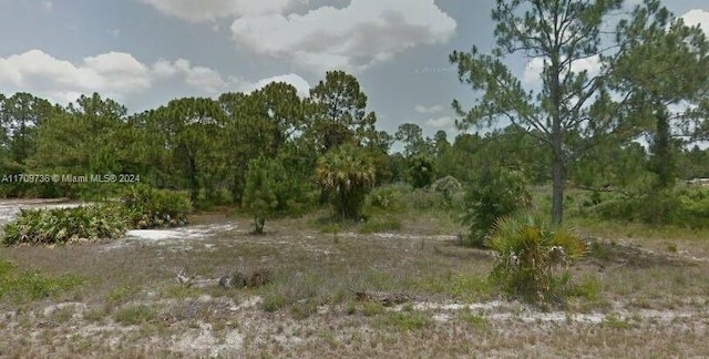 825 S Lindero, Clewiston FL, 33440 land for sale