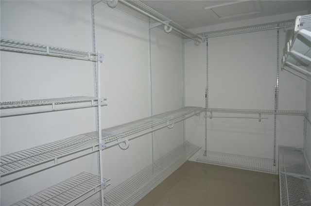 view of walk in closet