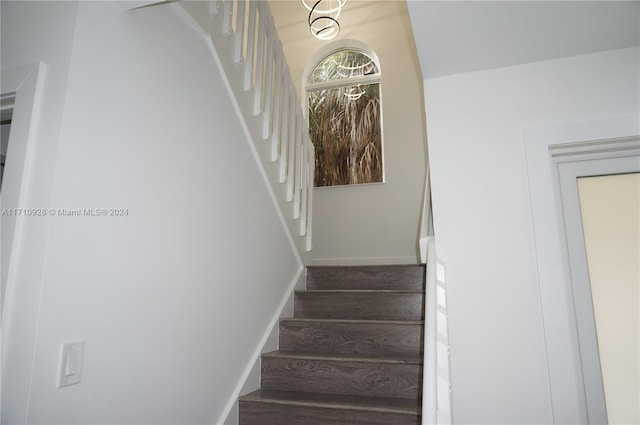 stairs with hardwood / wood-style floors