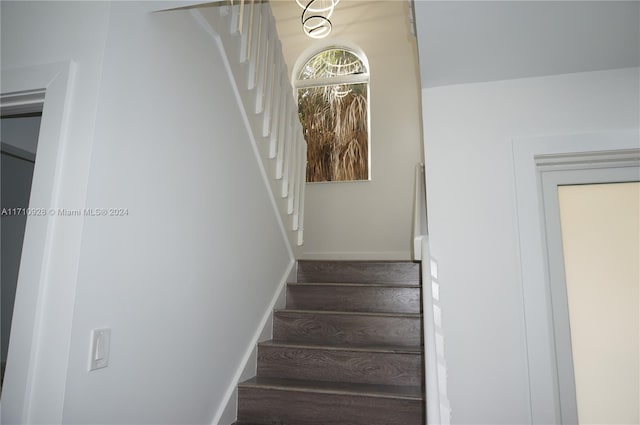 staircase featuring wood-type flooring