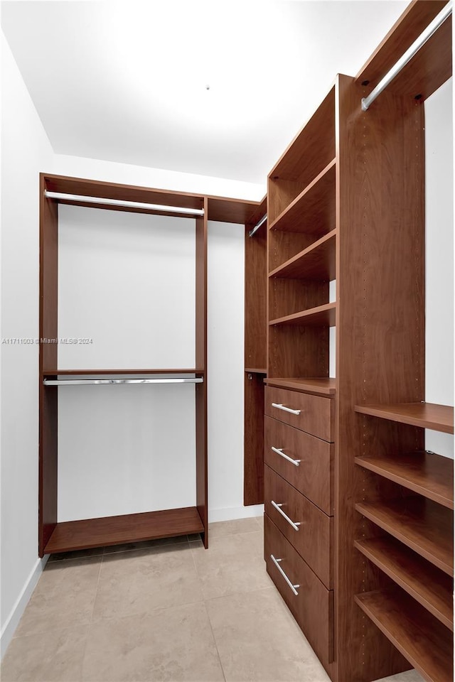 view of spacious closet