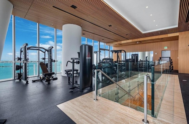 gym with expansive windows