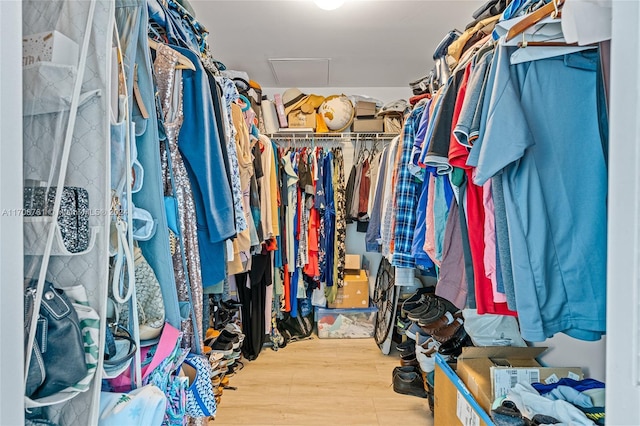 walk in closet featuring wood-type flooring