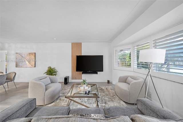 living room with light hardwood / wood-style flooring