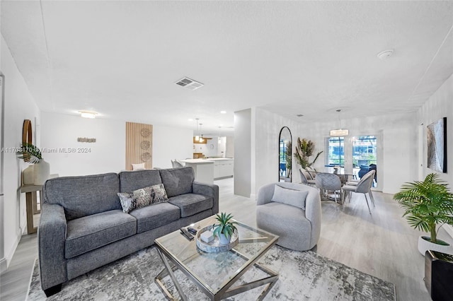 living room featuring light wood-type flooring