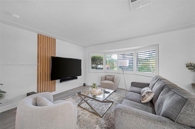 living room with hardwood / wood-style flooring