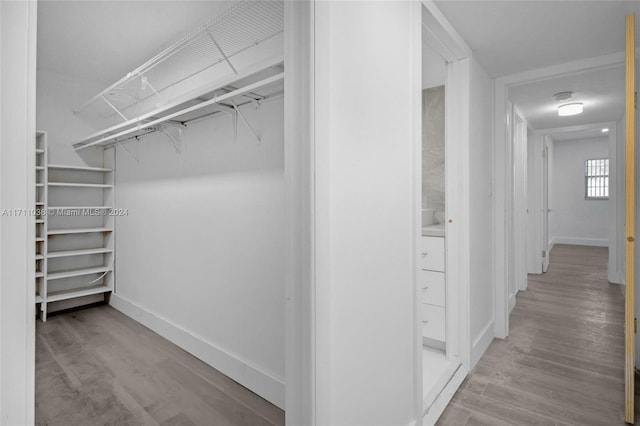 spacious closet featuring light hardwood / wood-style floors