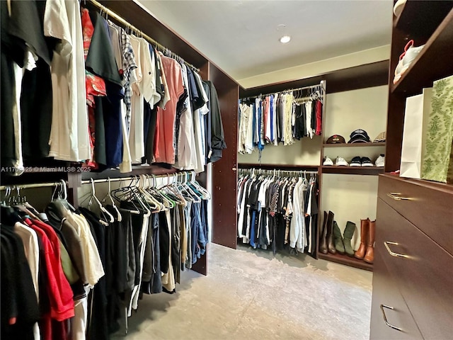 view of spacious closet