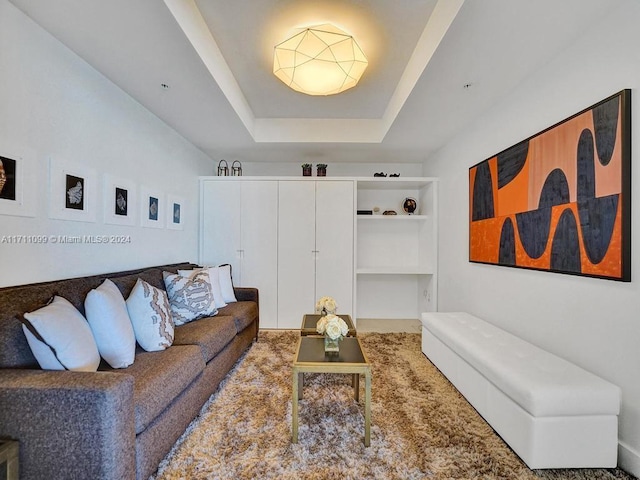 living room with a tray ceiling