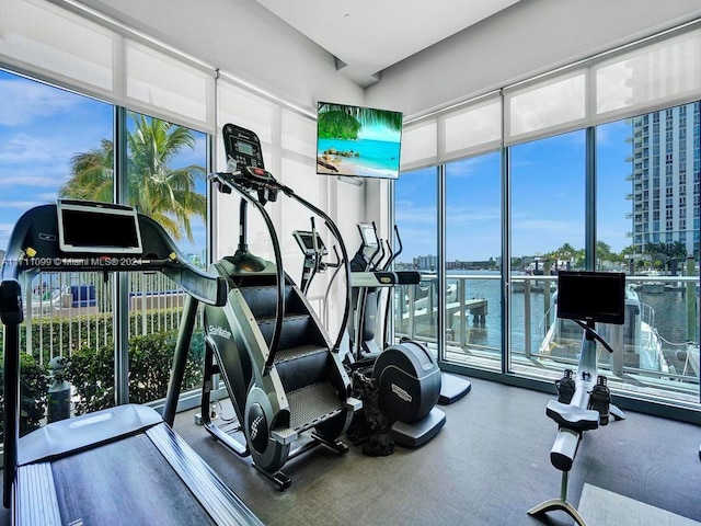 exercise room with a wall of windows