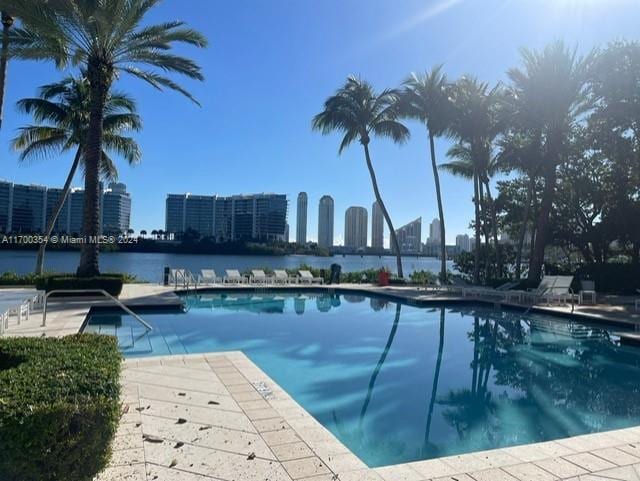 view of pool featuring a patio