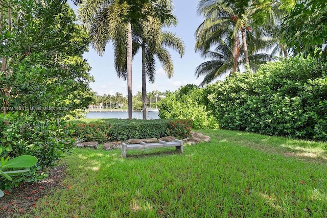 view of yard with a water view