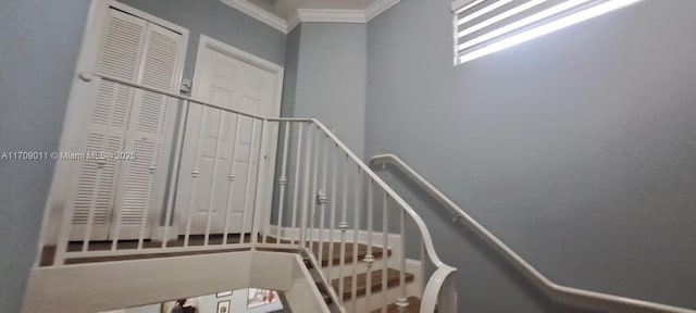 stairs featuring ornamental molding