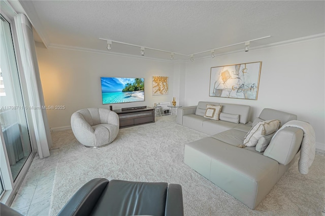 living room with crown molding, a textured ceiling, and track lighting