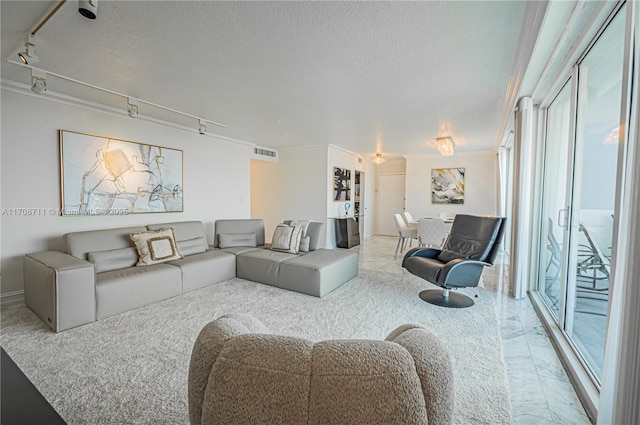 living room with a textured ceiling and track lighting