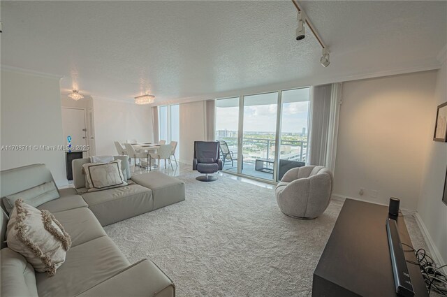 living room featuring carpet flooring, floor to ceiling windows, crown molding, a textured ceiling, and track lighting