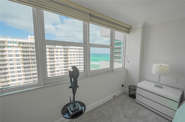 interior space featuring carpet flooring, plenty of natural light, a water view, and a textured ceiling